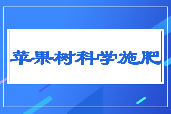 蘋果樹科學(xué)施肥