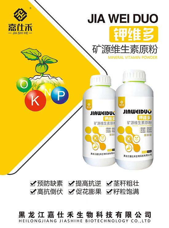 QQ�DƬ20231127085129