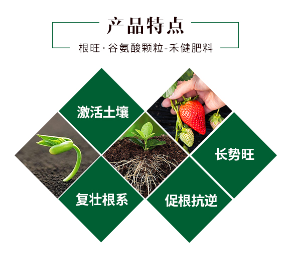 �������Ȱ����w��_03