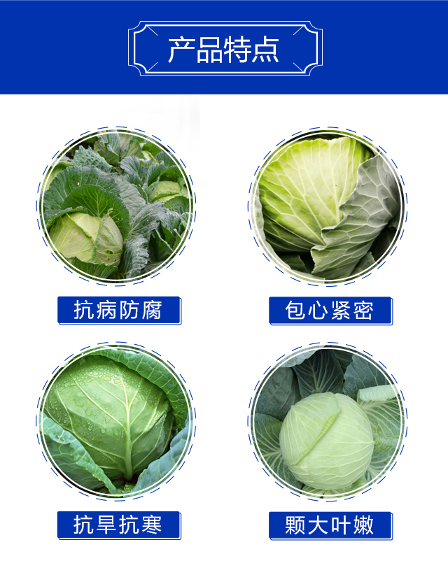 防腐包心劑-善田_04