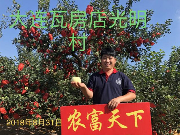 �p���ȫˮ�܏ͺϷ���20-20-5-�r(n��ng)������4