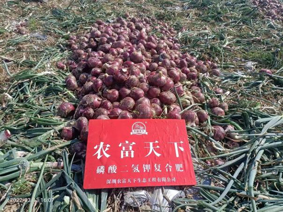 �p���ȫˮ�܏ͺϷ���20-20-5-�r(n��ng)������5