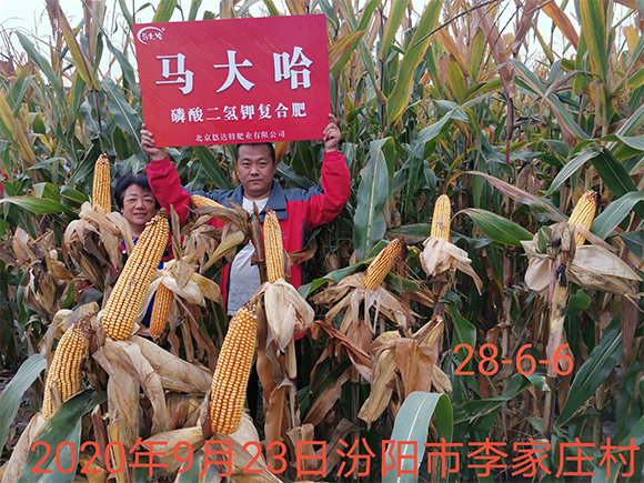 ���׌������������͏�(f��)�Ϸʷ���25-10-16-�R���-�r(n��ng)������6