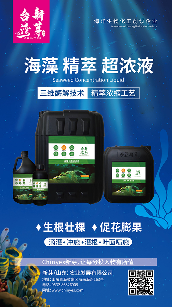 ƿ�b���徫�ͳ���Һ-�_(t��i)����ѿ4