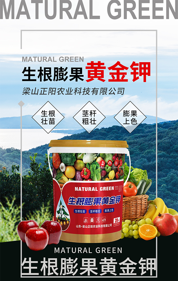 梁山正陽農(nóng)業(yè)科技有限公司_01