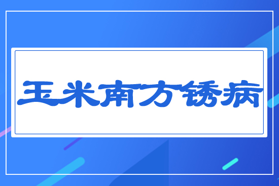 玉米南方銹病