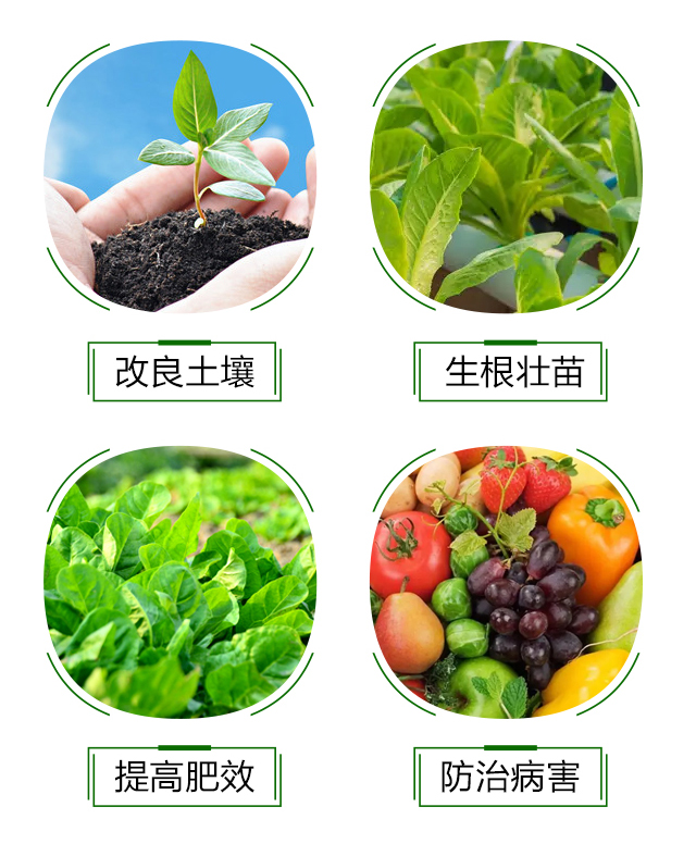 �VԴ�S�����-�\(ch��ng)��I(l��ng)��_05