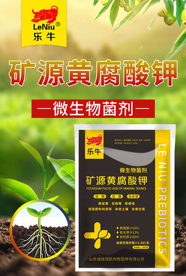 �VԴ�S�����-�\(ch��ng)��I(l��ng)��_01