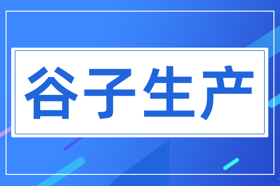 谷子生產(chǎn)