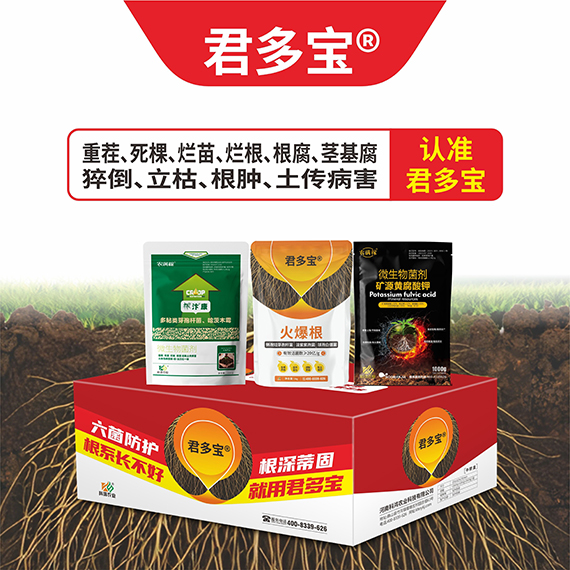 QQ�DƬ20260430094737