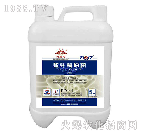 蚯蚓酶原菌-新啟力