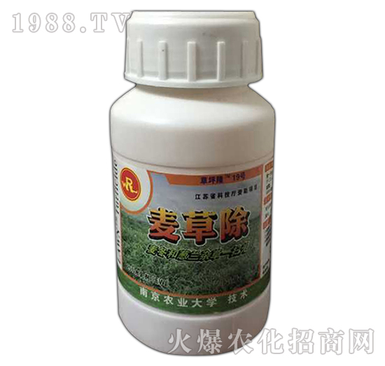 ���ݳ�-�G��