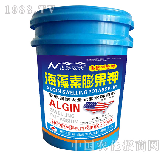 ����������-�����r��