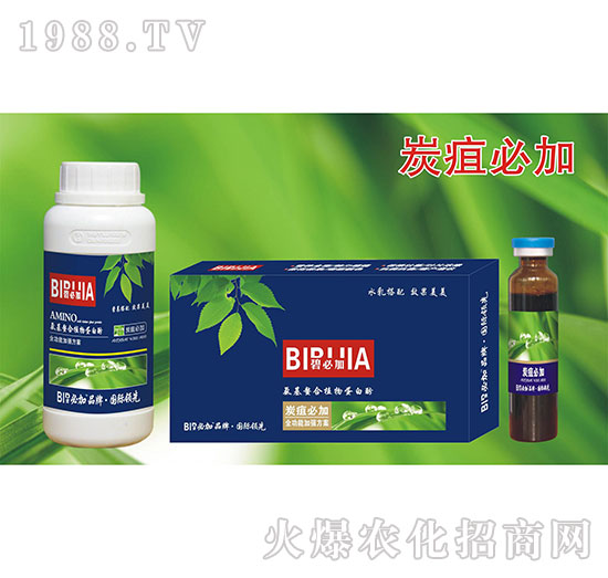 炭疽必加-氨基螯合植物蛋白酚-鑫禾