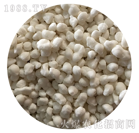 �����@�w��-����S