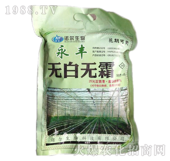 �o(w��)�ןo(w��)˪-���S-�Z������