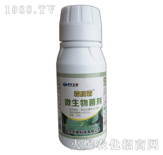 ΢�������-˪�߰�-�Z������