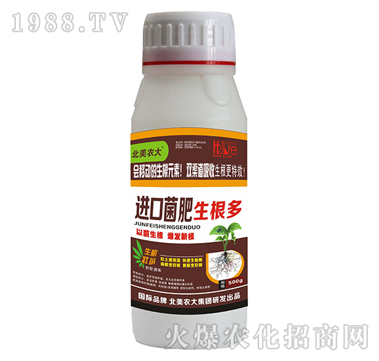 �M�ھ���������-�����r(n��ng)��