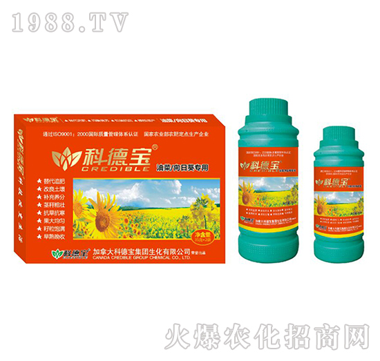 �Ͳˡ����տ���(zhu��n)�àI(y��ng)�B(y��ng)���a(ch��n)�{(di��o)�턩-�Ƶ�