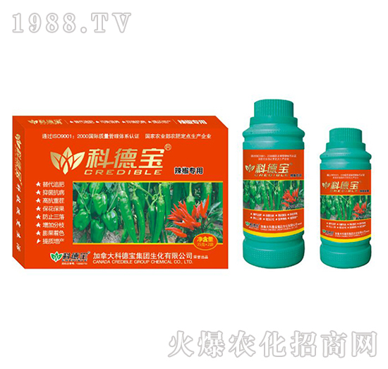 �������àI�B(y��ng)���a�{�턩-�Ƶ�