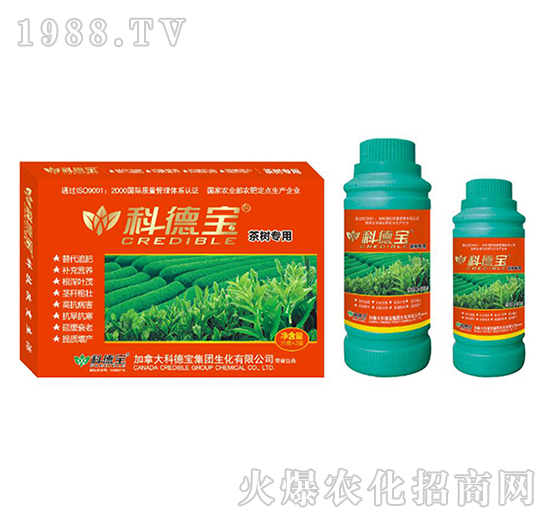 茶樹專用營養(yǎng)增產(chǎn)調(diào)理劑-科德寶