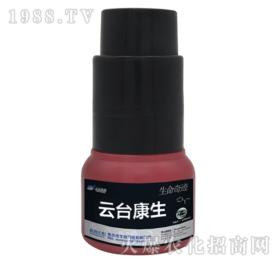 云臺康生-云臺大化