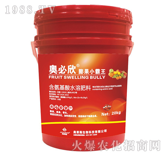 ���С����-�W����-�W�R˹