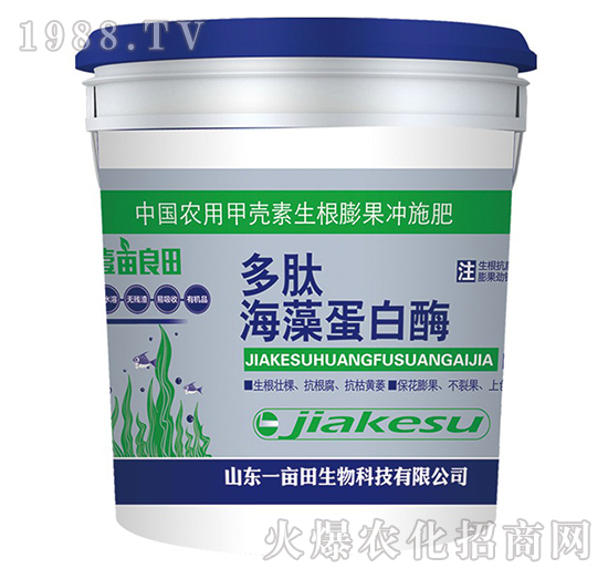 ���ĺ��嵰��ø-Ҽ������