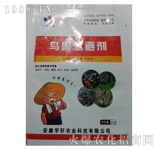 �B�F�܄�-��܎�r�I(y��)