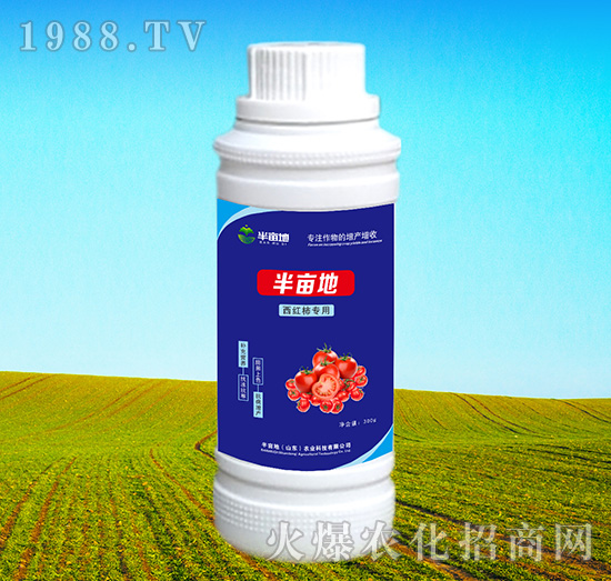 ���t�������~���-�뮀��