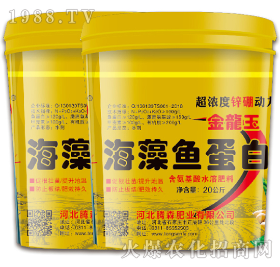 �����~����-���vɭ-�vɭ�ʘI(y��)