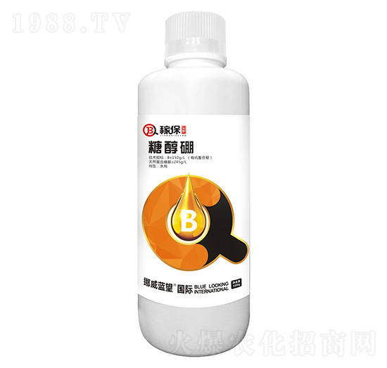 �Ǵ���-�ڱ�-�{(l��n)��