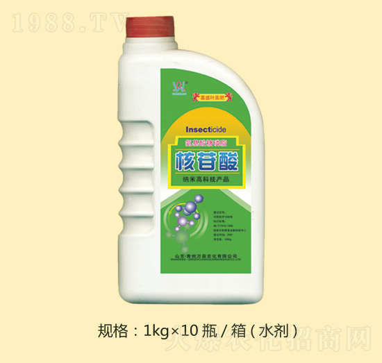 ������-�fȪ�r��