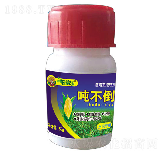 ���׌���-������-�r�̘�