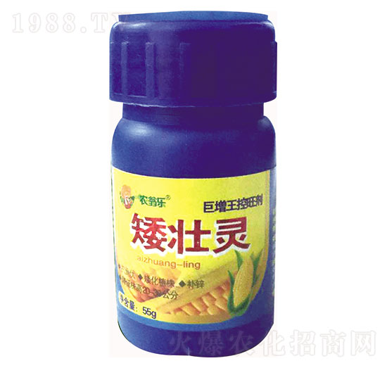 �����`-�r(n��ng)�̘�