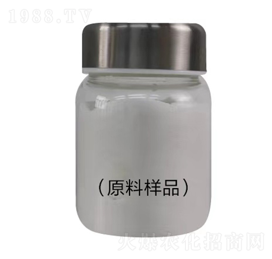 ����������̖-���o���r�I(y��)