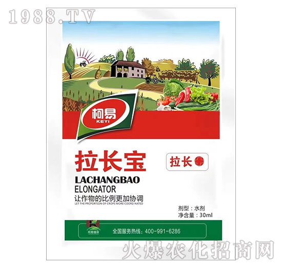 ���L��-����ֲ��