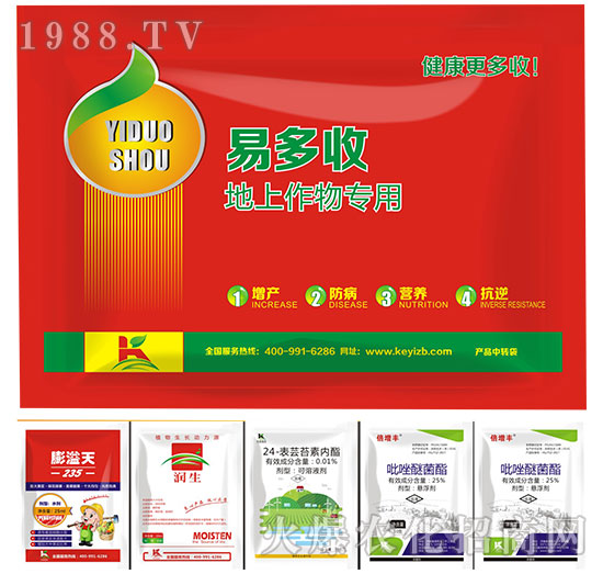 ���������-�׶���-����ֲ��