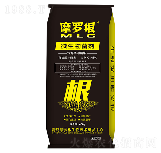 ΢�����������~�;��A��-Ħ�_��-���A����