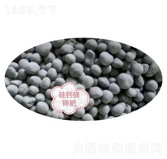 ���}�V⛷�-�Z�M�}