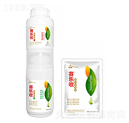 ���a�������b-ِ����-�����Ƽ�