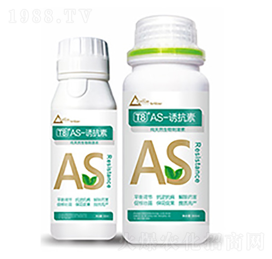 T8��AS-�T����-�����Ƽ�