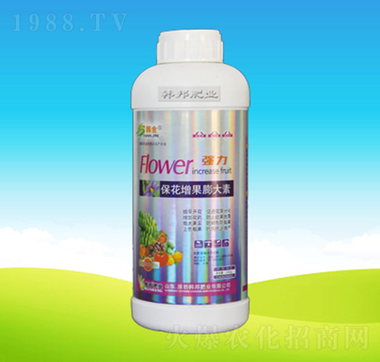 �������������-�n��ʘI(y��)