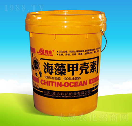 ������ך���-�n��-�n��ʘI(y��)