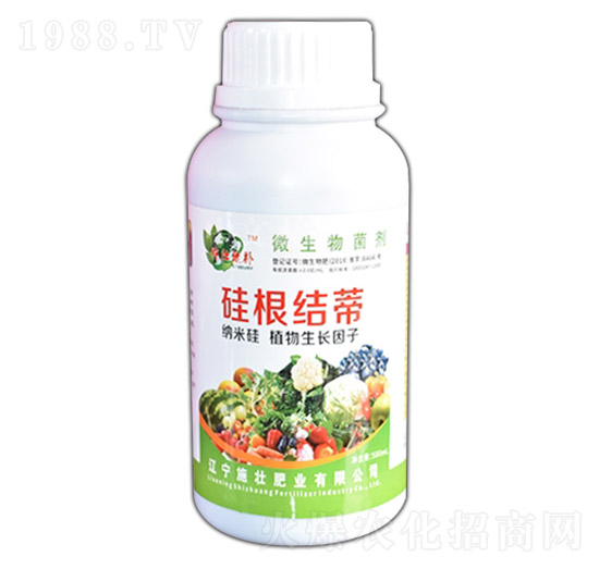 ����Y(ji��)��-ʩ�ѷʘI(y��)