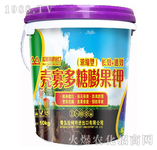 ���Ѷ�������-��ķ�؝�