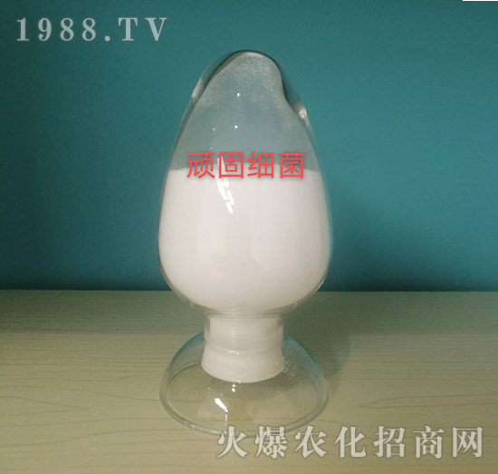 �B�̼�������ԭ��-���o��(c��)�r(n��ng)�I(y��)