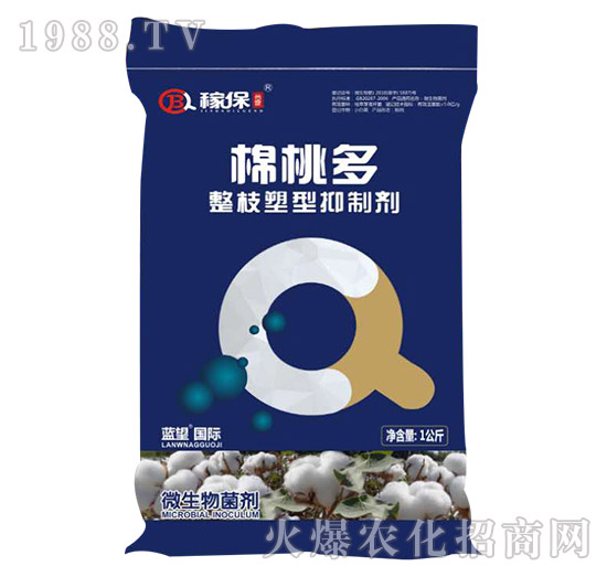 ��֦�������Ƅ�-���Ҷ�-�ڱ�����