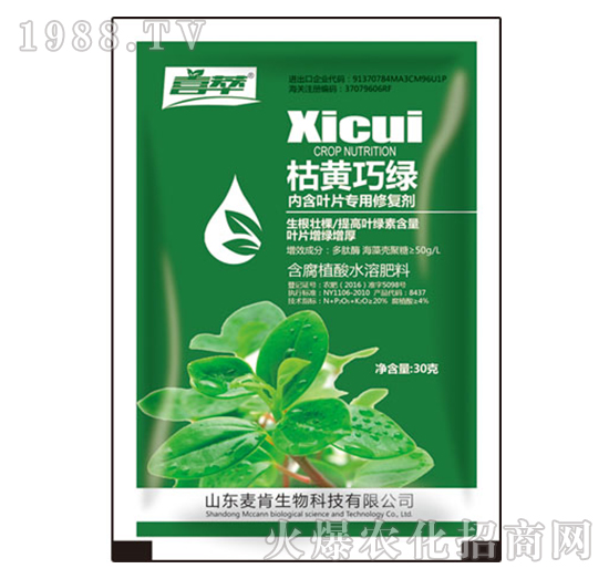 ���S�ɾG�~Ƭ�����ޏ̈́�-��������