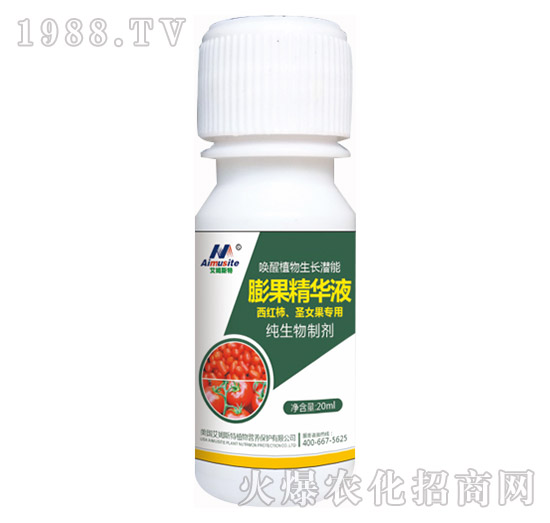 �������Ƅ�-���t����ʥŮ������-��ķ˹��